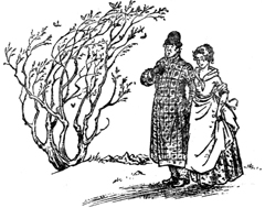 Племянник Чародея - Клайв Стейплз Льюис