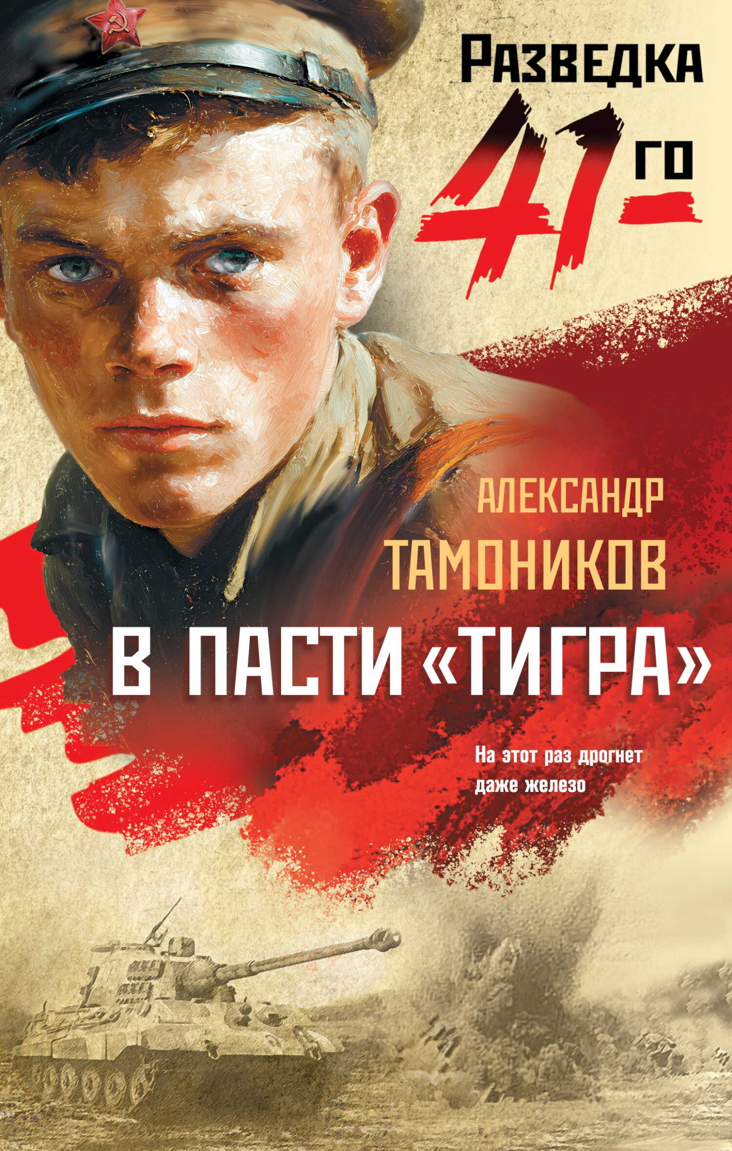 В пасти «тигра» - Александр Александрович Тамоников - Читать книги онлайн | Слушать аудиокниги онлайн | Электронная библиотека books-lib.com