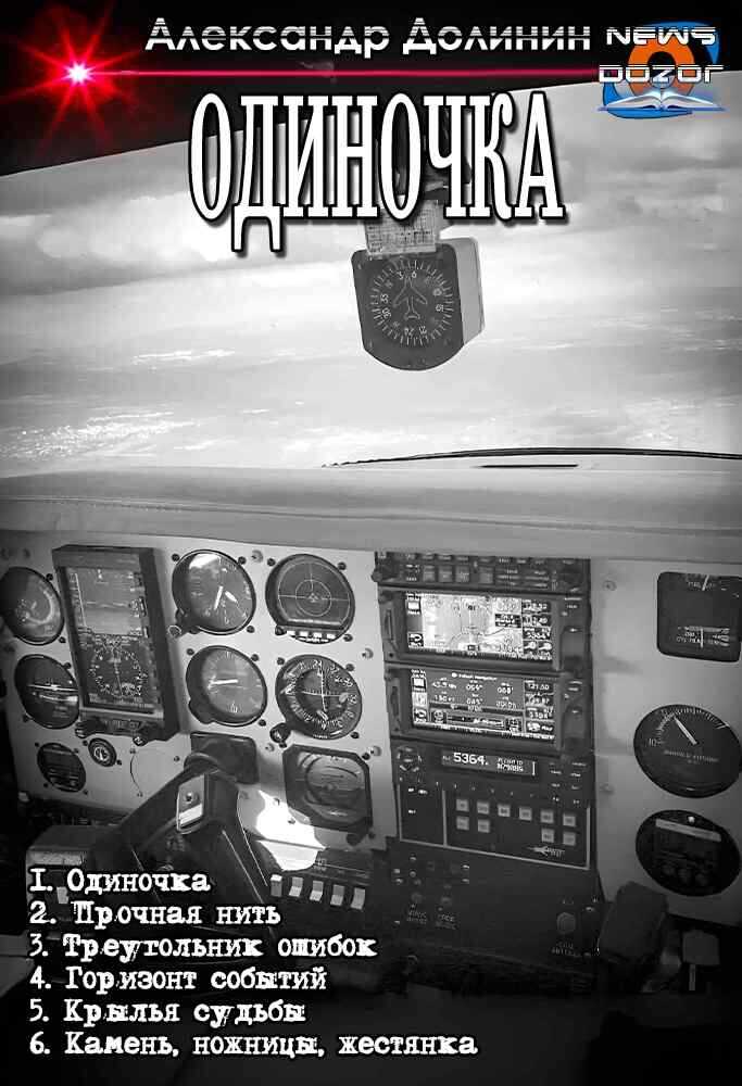 Одиночка - Александр Александрович Долинин - Читать книги онлайн | Слушать аудиокниги онлайн | Электронная библиотека books-lib.com
