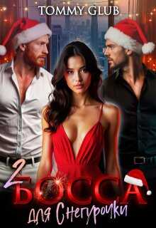 Два босса для Снегурочки - Tommy Glub Читать книги онлайн | Слушать аудиокниги онлайн | Электронная библиотека books-lib.com