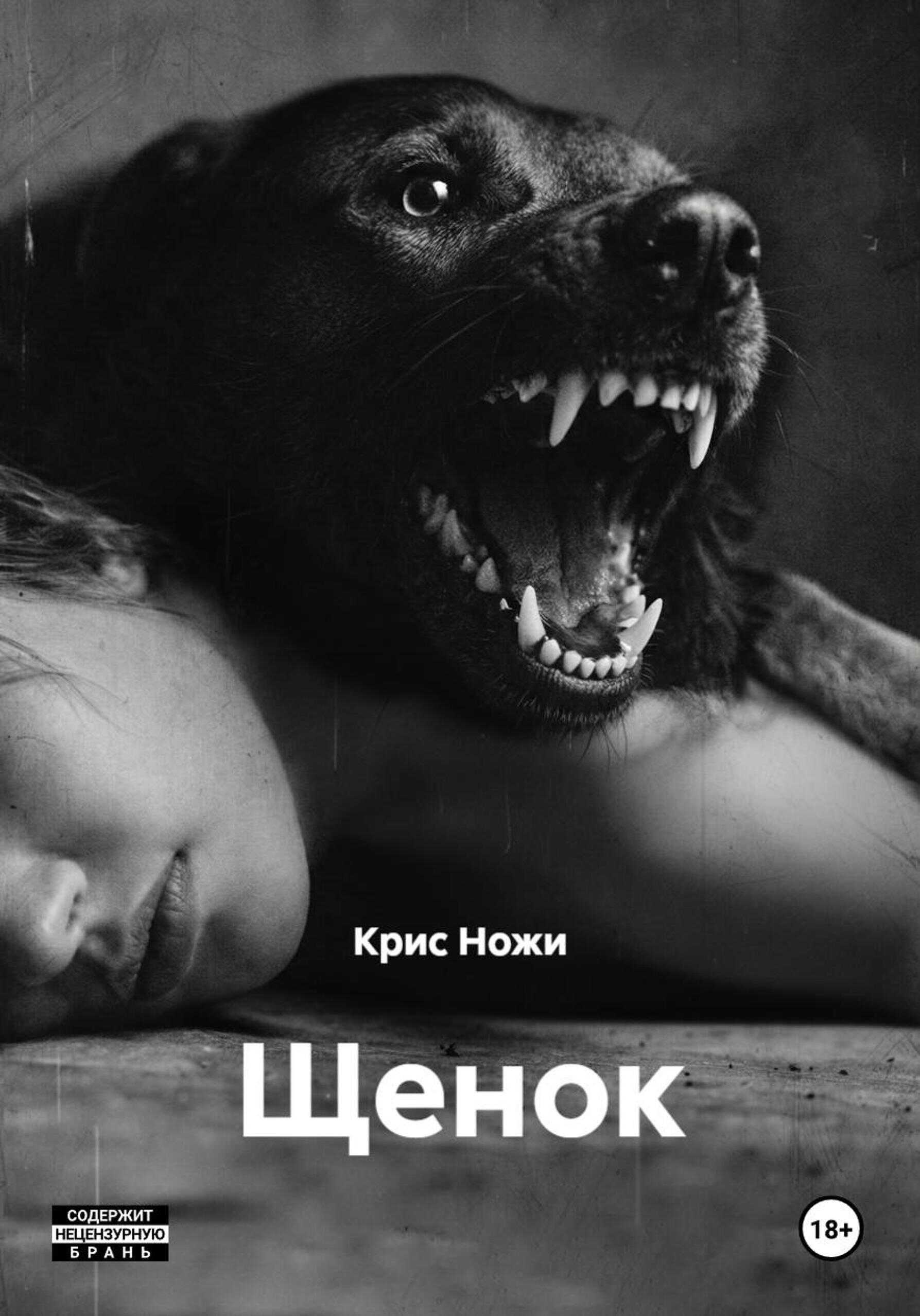 Щенок - Крис Ножи - Читать книги онлайн | Слушать аудиокниги онлайн | Электронная библиотека books-lib.com