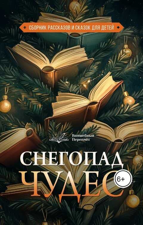 Снегопад чудес - Сухов Читать книги онлайн | Слушать аудиокниги онлайн | Электронная библиотека books-lib.com
