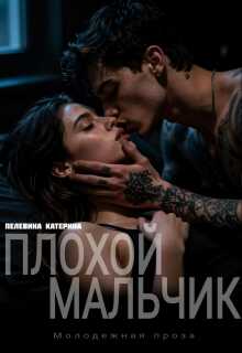 Плохой мальчик - Катерина Пелевина - Читать книги онлайн | Слушать аудиокниги онлайн | Электронная библиотека books-lib.com