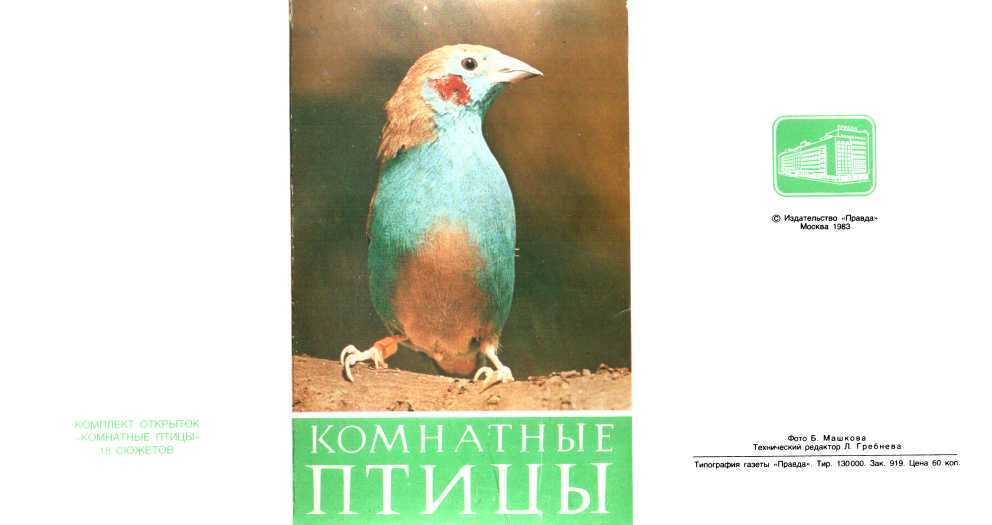 Комнатные птицы - Кирш - Читать книги онлайн | Слушать аудиокниги онлайн | Электронная библиотека books-lib.com