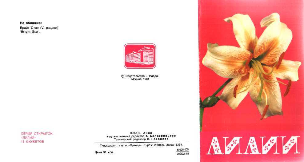 Лилии - Мягкова - Читать книги онлайн | Слушать аудиокниги онлайн | Электронная библиотека books-lib.com
