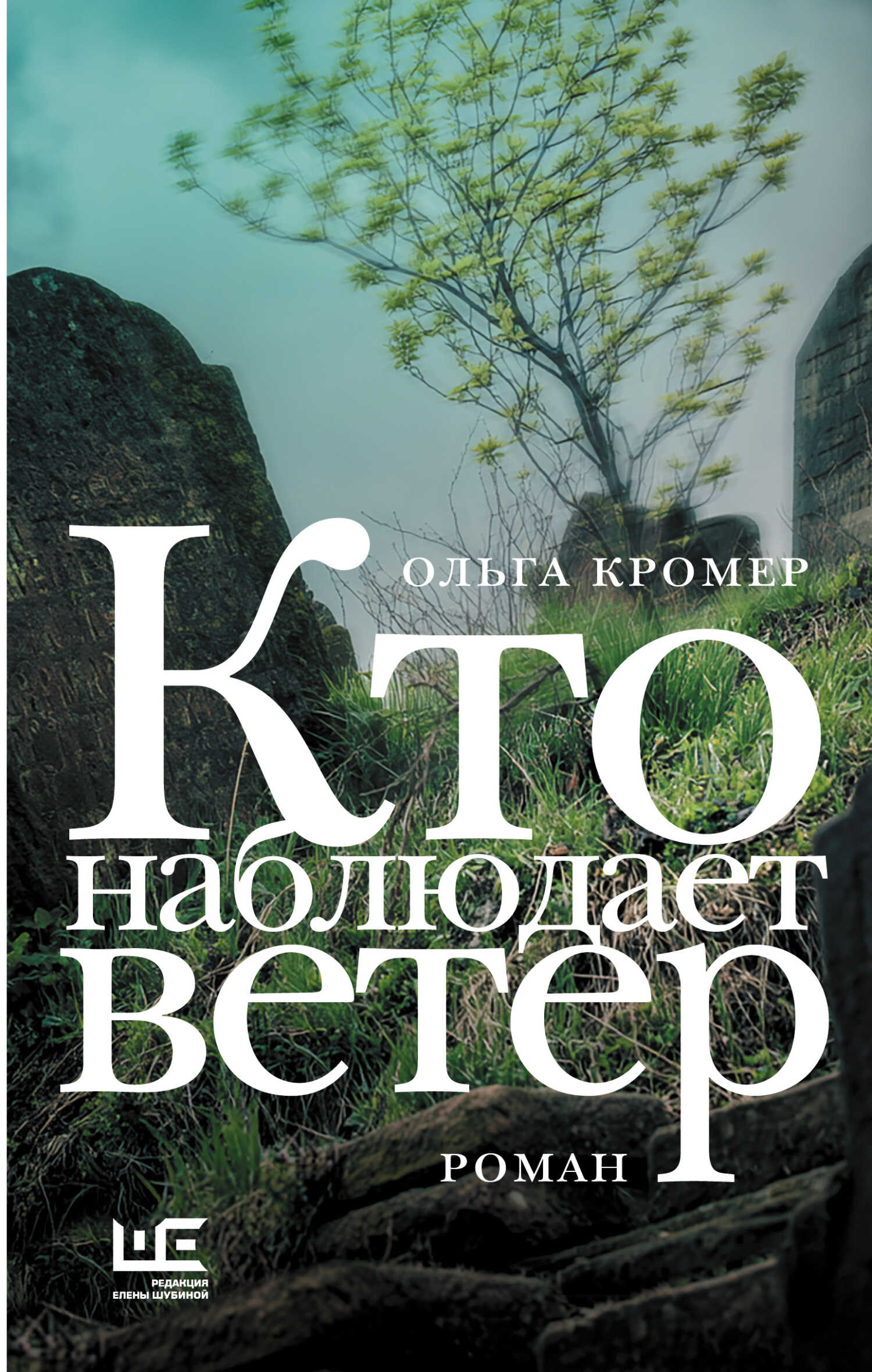 Кто наблюдает ветер - Ольга Кромер - Читать книги онлайн | Слушать аудиокниги онлайн | Электронная библиотека books-lib.com