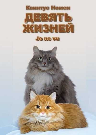 Девять жизней Je ne vu - Квинтус Номен - Читать книги онлайн | Слушать аудиокниги онлайн | Электронная библиотека books-lib.com