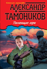 Пылающие горы - Александр Тамоников - Читать книги онлайн | Слушать аудиокниги онлайн | Электронная библиотека books-lib.com