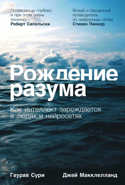 Рождение разума: Как интеллект зарождается в людях и нейросетях - Джей Макклелланд - Читать книги онлайн | Слушать аудиокниги онлайн | Электронная библиотека books-lib.com
