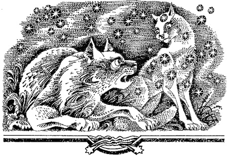 Миссия Огнезвезда. Книга 1. Искупление Миссия Огнезвезда. Книга 1. Искупление