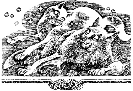 Миссия Огнезвезда. Книга 1. Искупление Миссия Огнезвезда. Книга 1. Искупление