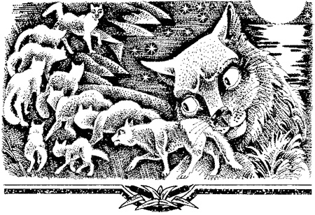 Миссия Огнезвезда. Книга 1. Искупление Миссия Огнезвезда. Книга 1. Искупление