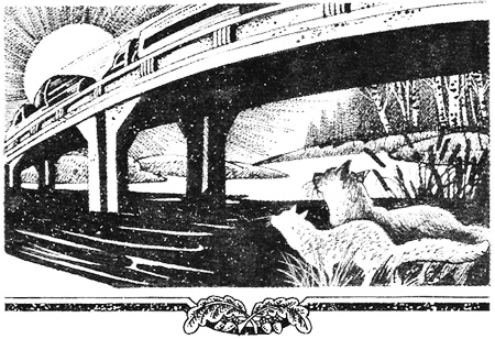 Миссия Огнезвезда. Книга 1. Искупление Миссия Огнезвезда. Книга 1. Искупление