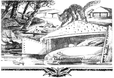Миссия Огнезвезда. Книга 1. Искупление Миссия Огнезвезда. Книга 1. Искупление