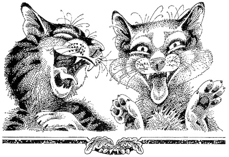 Миссия Огнезвезда. Книга 1. Искупление Миссия Огнезвезда. Книга 1. Искупление