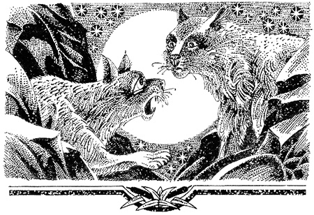 Миссия Огнезвезда. Книга 1. Искупление Миссия Огнезвезда. Книга 1. Искупление