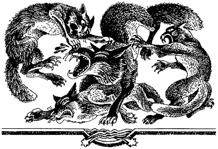 Миссия Огнезвезда. Книга 2. Возрождение Миссия Огнезвезда. Книга 2. Возрождение