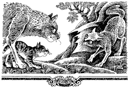 Миссия Огнезвезда. Книга 2. Возрождение Миссия Огнезвезда. Книга 2. Возрождение