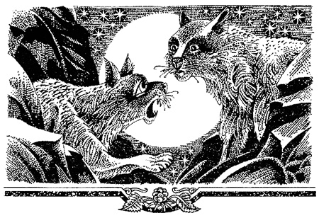 Миссия Огнезвезда. Книга 2. Возрождение Миссия Огнезвезда. Книга 2. Возрождение