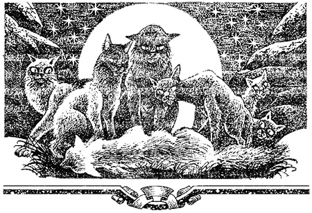Миссия Огнезвезда. Книга 2. Возрождение Миссия Огнезвезда. Книга 2. Возрождение