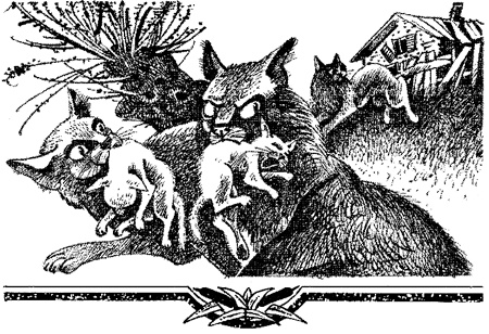 Миссия Огнезвезда. Книга 2. Возрождение Миссия Огнезвезда. Книга 2. Возрождение