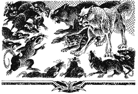 Миссия Огнезвезда. Книга 2. Возрождение Миссия Огнезвезда. Книга 2. Возрождение