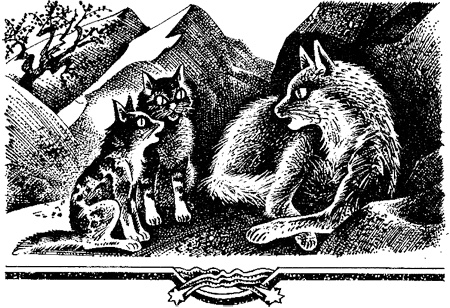 Миссия Огнезвезда. Книга 2. Возрождение Миссия Огнезвезда. Книга 2. Возрождение