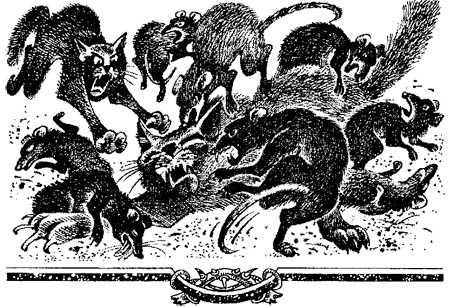 Миссия Огнезвезда. Книга 2. Возрождение Миссия Огнезвезда. Книга 2. Возрождение