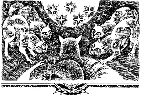 Миссия Огнезвезда. Книга 2. Возрождение Миссия Огнезвезда. Книга 2. Возрождение