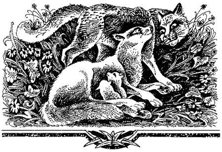 Миссия Огнезвезда. Книга 2. Возрождение Миссия Огнезвезда. Книга 2. Возрождение