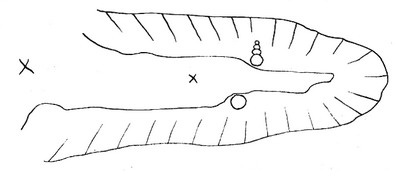 Удивительные приключения Тома Скаттерхорна. Книга 1. Путешественник во времени Удивительные приключения Тома Скаттерхорна. Книга 1. Путешественник во времени