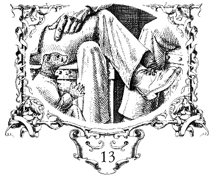 Ночные бродяги Ночные бродяги