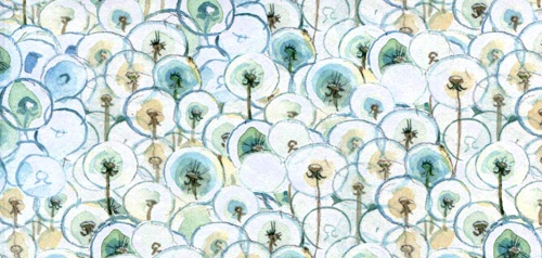 Лето разноцветно-косолапое Лето разноцветно-косолапое