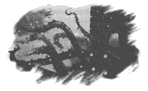 Правдивая история про девочку Эмили и морское чудовище Правдивая история про девочку Эмили и морское чудовище
