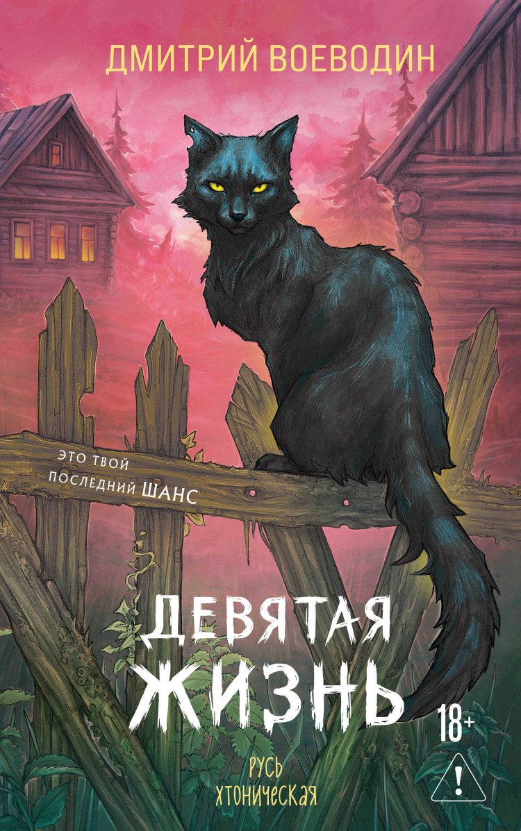 Девятая жизнь - Дмитрий Воеводин - Читать книги онлайн | Слушать аудиокниги онлайн | Электронная библиотека books-lib.com