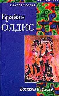 Босиком в голове - Брайан У. Олдисс - Читать книги онлайн | Слушать аудиокниги онлайн | Электронная библиотека books-lib.com