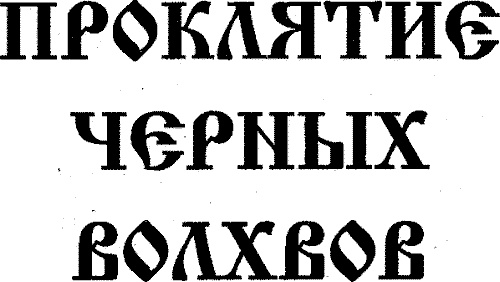Черный огонь. Славяне против варягов и черных волхвов Черный огонь. Славяне против варягов и черных волхвов