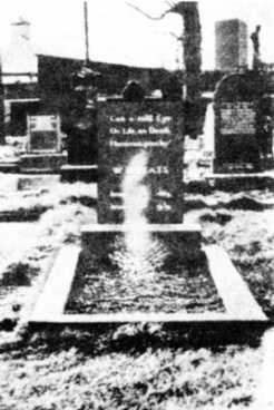 Книга вампиров Книга вампиров