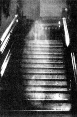 Книга вампиров Книга вампиров