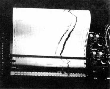 Книга вампиров Книга вампиров