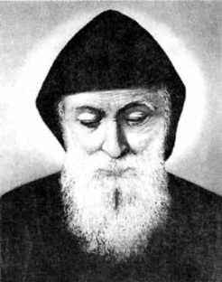 Книга вампиров Книга вампиров