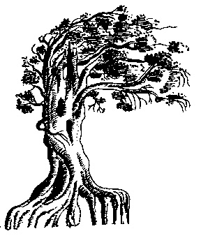 Духи болота Духи болота