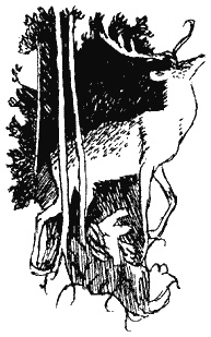 Книга трех Книга трех