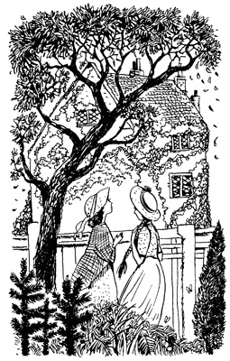 История Энн Ширли. Книга первая История Энн Ширли. Книга первая