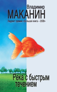 Река с быстрым течением - Владимир Маканин - Читать книги онлайн | Слушать аудиокниги онлайн | Электронная библиотека books-lib.com
