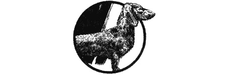 Приключения черной таксы Приключения черной таксы
