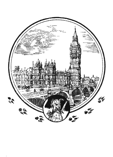 Приключения черной таксы Приключения черной таксы