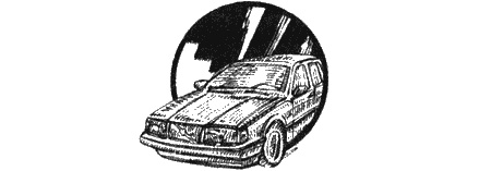 Приключения черной таксы Приключения черной таксы