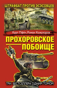 Прохоровское побоище. Штрафбат против эсэсовцев - Роман Кожухаров - Читать книги онлайн | Слушать аудиокниги онлайн | Электронная библиотека books-lib.com