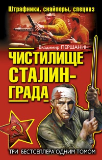 Чистилище Сталинграда. Штрафники, снайперы, спецназ - Владимир Першанин - Читать книги онлайн | Слушать аудиокниги онлайн | Электронная библиотека books-lib.com